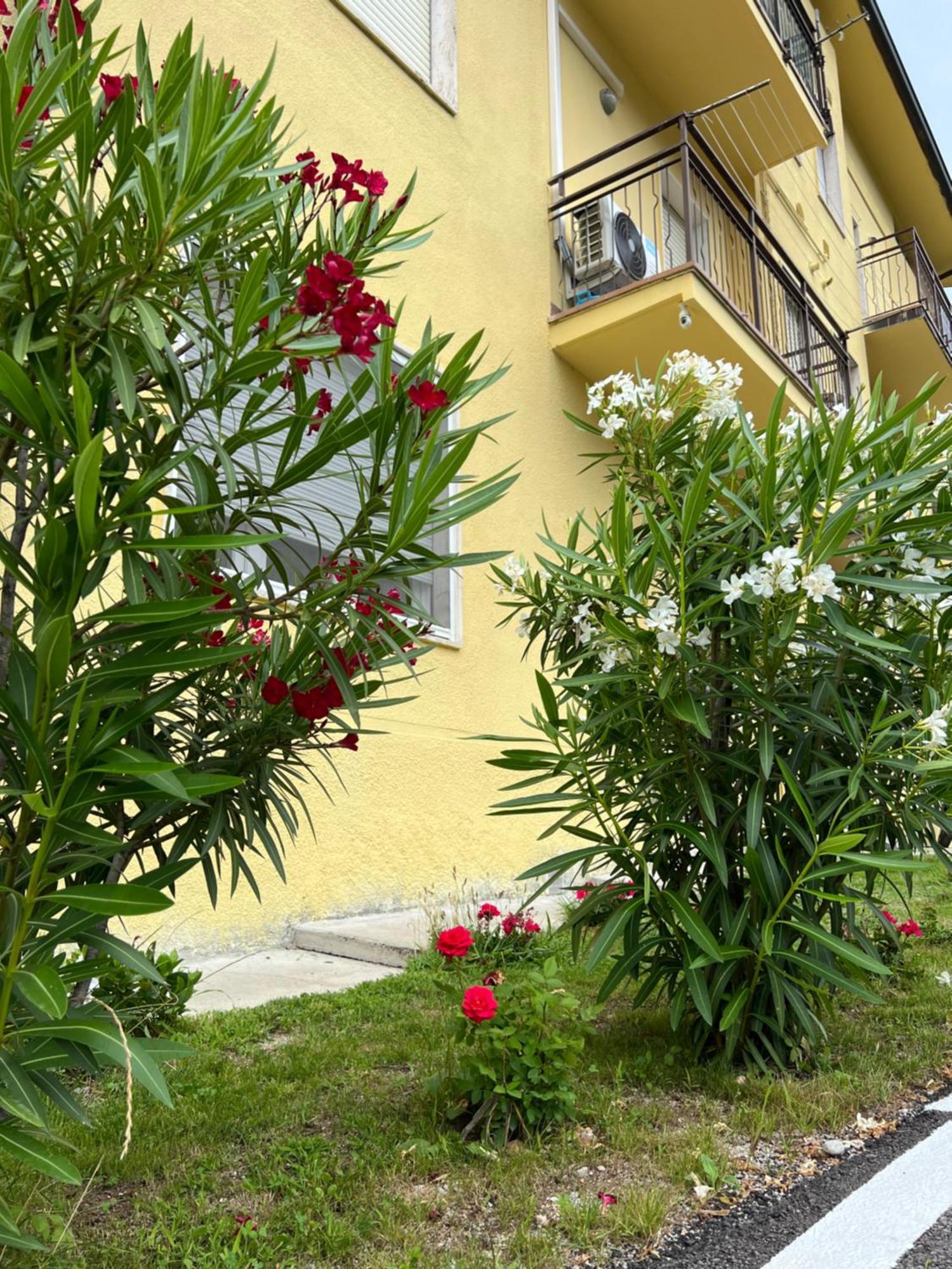 Vila Casa R&E Valbrona Exteriér fotografie